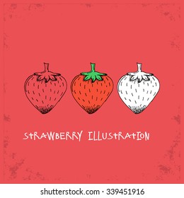 Cartoon Style Peach Illustration - Detailed Crafted Hand Drawn Doodle Colored Sketch - Graphic and Infographic and Food Resource from Healthy Fruit Collection - Vector Illustration