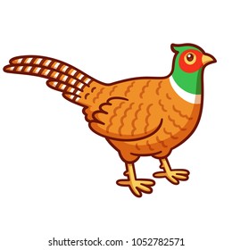 Cartoon style pheasant drawing. Common wild bird and hunting trophy. Isolated vector clip art illustration.