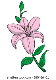 14,432 Cartoon lily Images, Stock Photos & Vectors | Shutterstock