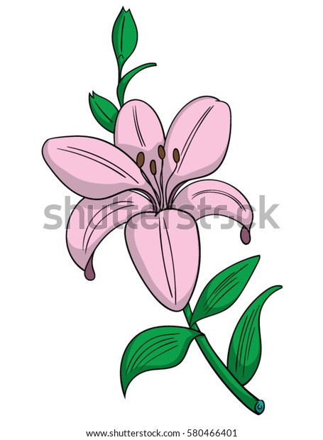 Cartoon Style Pink Lily Flower Stock Vector (Royalty Free) 580466401