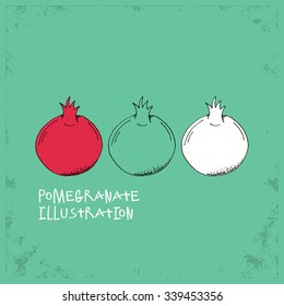 Cartoon Style Pomegranate Illustration - Detailed Crafted Hand Drawn Doodle Colored Sketch - Graphic and Infographic and Food Resource from Healthy Fruit Collection - Vector Illustration