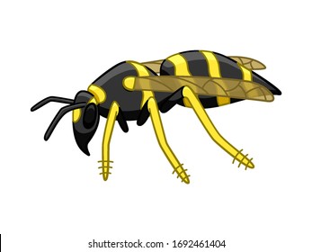 Cartoon style side view wasp isolated illustration. White background, vector.