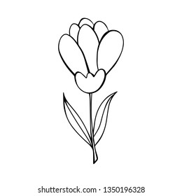 Cartoon style vector doodle illustration of black, white flower. Great design elements for wedding invitation, sticker, card, print, poster. Drawing isolated on background. Botany simple illustration