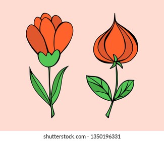 Cartoon style vector doodle illustration of  orange flower set. Great design elements for wedding invitation, sticker, card, print, poster. Drawing isolated on background. Botany simple illustration