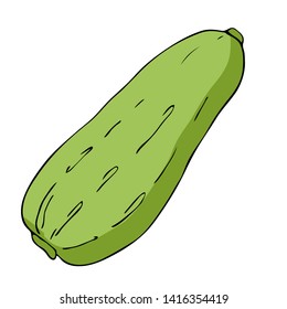 Cartoon style  vector illustration Isolated on white background with Zucchini  for menu, banner,poster, greeting card,label,  emblem,kitchen print
