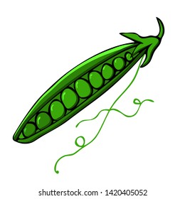 Cartoon style  vector illustration Isolated on white background with green peas for menu, banner,poster, greeting card,label,  emblem,kitchen print,logo,label
