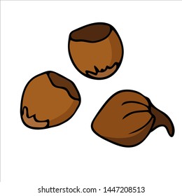 Cartoon style vector illustration Isolated on white background with Hazelnut. Organic and healthy food.Design for menu,banner,label,emblem,kitchen print,logo, fermer  market