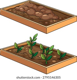 Cartoon style vector illustration showing empty soil and growing green seedlings in wooden planter boxes
