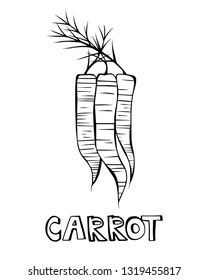 Cartoon style vector illustration of three carrots with black lettering. Great design elements for sticker, card, print or poster. Unique and fun drawing isolated on white background. Food art