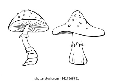 Cartoon style vector illustration two mushroom set. Great design elements for sticker, card, print or poster. Drawing template isolated on white background. Nature, botany, forest, amanita, toadstool