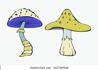 Cartoon style vector illustration two mushroom set. Great design elements for sticker, card, print, poster. Drawing template isolated on light background. Nature, botany, forest, amanita, toadstool