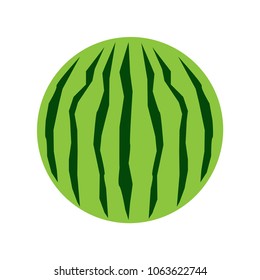 Cartoon style watermelon at the white background