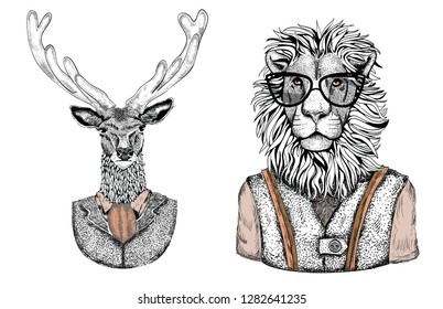 Cartoon stylish animals dressed in fashion clothes