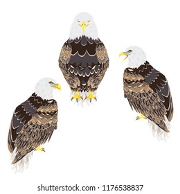 Cartoon stylized bald eagle decorative design illustration.