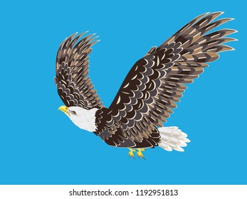 Cartoon stylized bald eagle decorative design illustration.