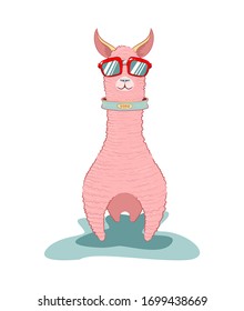 Cartoon stylized image of a cool llama in sunglasses. Vector stock file.