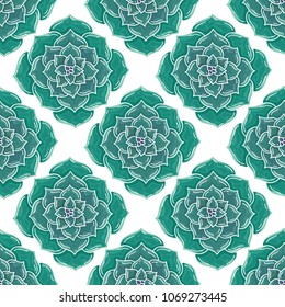 Cartoon succulent plant seamless pattern. Vector succulents background design. Echeveria seamless texure