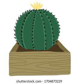 Cartoon succulents colorful vector cacti