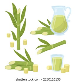 Cartoon sugarcane plant. Natural liquid sugarcane product, knife and stems with leaves flat vector illustration set on white background