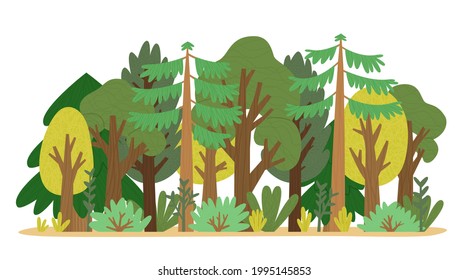 Cartoon summer forest trees, bushes and grass vector illustration. Cute flat texture green woodland, plants with trunk, branches and leaves. Nature woods landscape design isolated on white background