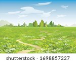 Cartoon summer landscape with flowering field and the path. Vector illustration.
