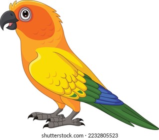 Cartoon Sun Conure Parrot on White Background