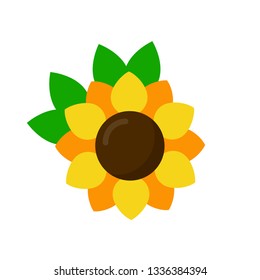 cartoon sunflower with leaves vector image