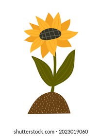 Cartoon Sunflower. Season, Nature Theme. Colorful Vector Illustration, Flat Style. Design For Cards, T-shirt Print, Poster