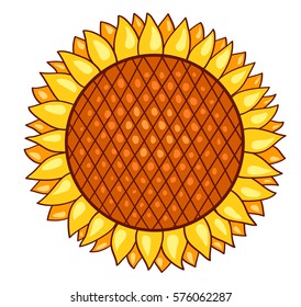 Cartoon sunflower. Vector illustration. Isolated on white.