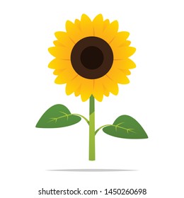 Cartoon sunflower vector isolated illustration