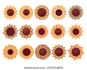 Cartoon sunflowers. Different plant shapes. Yellow flowers. Summer beautiful floral elements. Primitive petals and agriculture seeds. Blossom buds. Circle sunny bloom