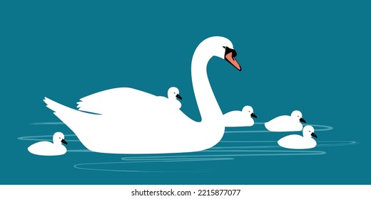 La familia de los cisnes de caricatura nadando en el estanque. El cisne blanco mayor ave voladora nade en el diseño de dibujos animados de agua animal ilustración vectorial plana aislada en un fondo aislado