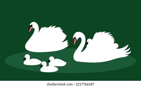 Cartoon swan family swimming in the pond. White swan largest flying bird swim on water cartoon animal design flat vector illustration isolated on isolated background