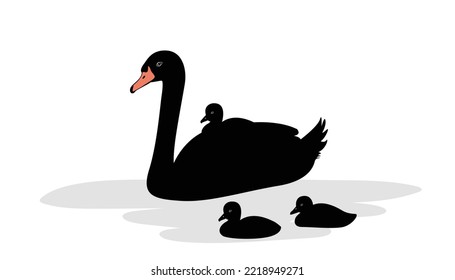 Cartoon Swan Family Swimming In The Pond. Black Silhouette Swan Largest Flying Bird Swim On Water Cartoon Animal Design Flat Vector Illustration Isolated On White Background