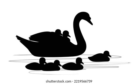 Cartoon Swan Family Swimming In The Pond. Black Silhouette Swan Largest Flying Bird Swim On Water Cartoon Animal Design Flat Vector Illustration Isolated On White Background