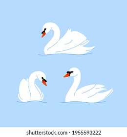 Cartoon swan. Flat illustration of bird. Childish print for nursery, kids apparel, poster, postcard, pattern.