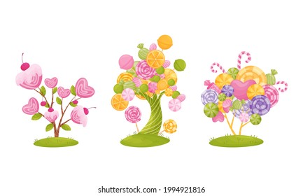 Cartoon Sweet Candy Trees as Fantasy Nature Vector Set