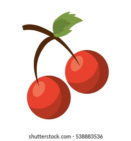 cartoon sweet cherry fruit icon
