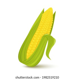 Cartoon sweet corn. Golden maize harvest, popcorn corny grains and sweet corn. Ear of corn, delicious vegetables or corns cob, isolated vector icon