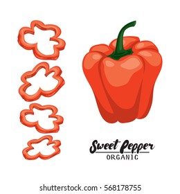 Cartoon sweet pepper. Ripe red vegetable. Vegetarian delicious. Eco organic food. Flat vector design, isolated on white background