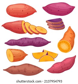 Cartoon sweet potato types, sliced yam or batat. Baked sweet red potatoes, healthy hot fall vegetable snack. Natural vegan food vector set. Organic meal eating, fresh products for dieting