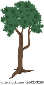 Cartoon Tall Tree Vector – Isolated Forest Tree Clipart with Long Trunk and Green Foliage for Animation, Nature Illustration, Educational or Game Design Projects