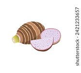 cartoon taro vector alphabet T vegetable 