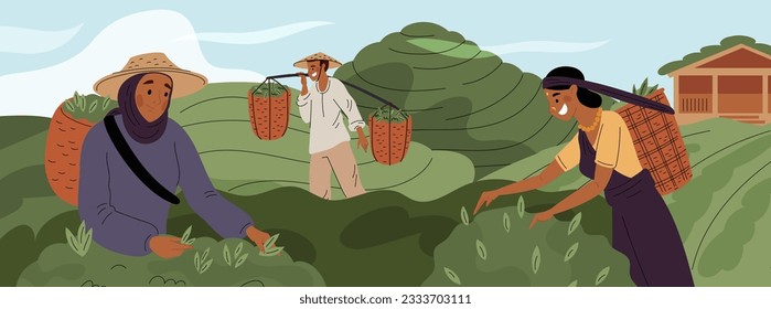 Cartoon tea pickers on plantation. People collect raw materials for drink. Indian gardening. Farmers harvesting agriculture plants. Baskets full of green leaves. Garish