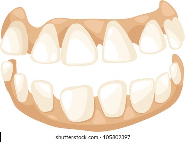 cartoon teeth illustration