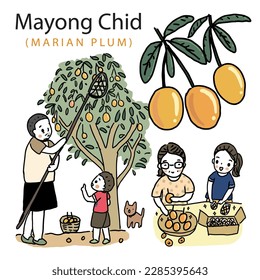 Cartoon Thai family farmer and Sweet Yellow Marian Plum in Thai language it mean “Mayong Chid”