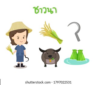 Cartoon Thai Farmer in Thai Language it mean "Thai Farmer"