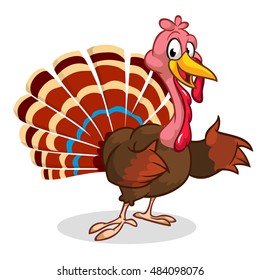 Cartoon Thanksgiving turkey presenting isolated on white. Vector