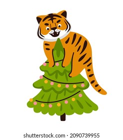 Cartoon tiger, climbing the christmas tree. Wild striped cat. Cute character for greeting card, postcard, print, poster, calendar. Vector flat illustration.