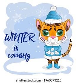 Cartoon tiger in a fur coat and boots on a winter background, Winter is coming. Children's stylistics, cute. Symbol of 2022 New Year and Christmas